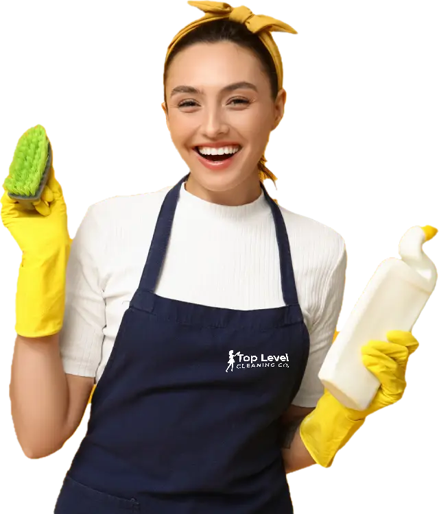 cleaning-ladyv4